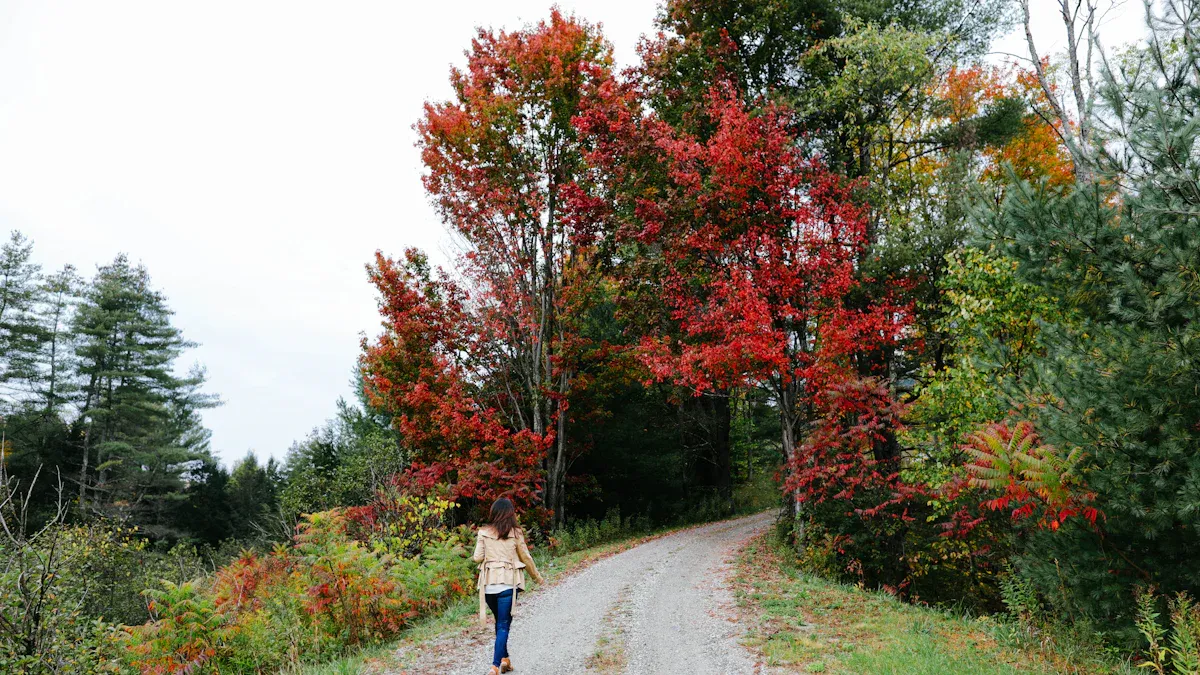 Middlebury Outdoor Activities