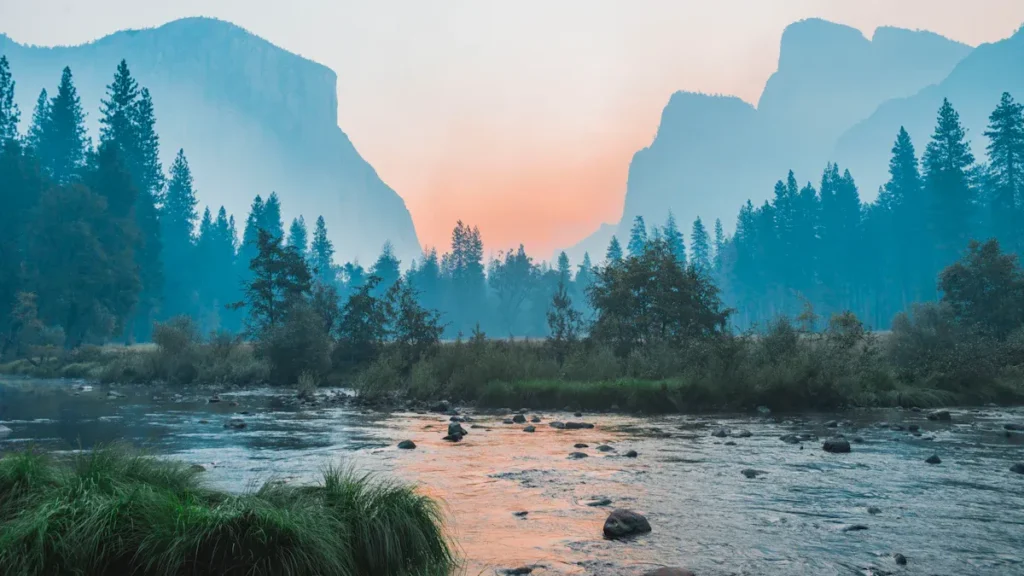 Best Things to Do in El Portal, CA