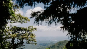 Best Things to Do in the Piedmont Region of NC