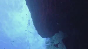 Kenting: Best Travel Tips For Your Next Adventure