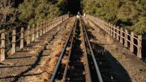 Westward Expansion: Americans On The Move Via Railroads