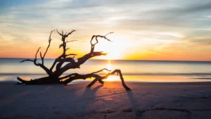 Best Things to Do on Bois Blanc Island