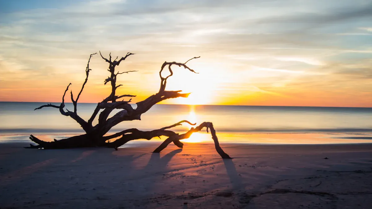 Best Things to Do on Bois Blanc Island