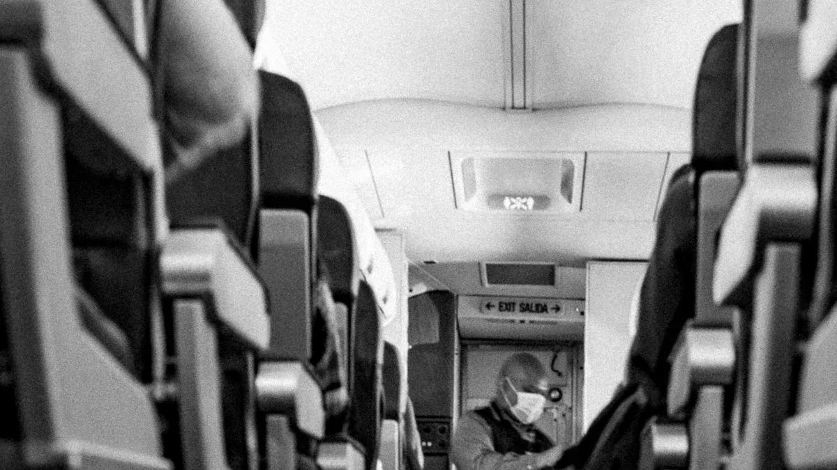 Standing Airline Seats: How They Work