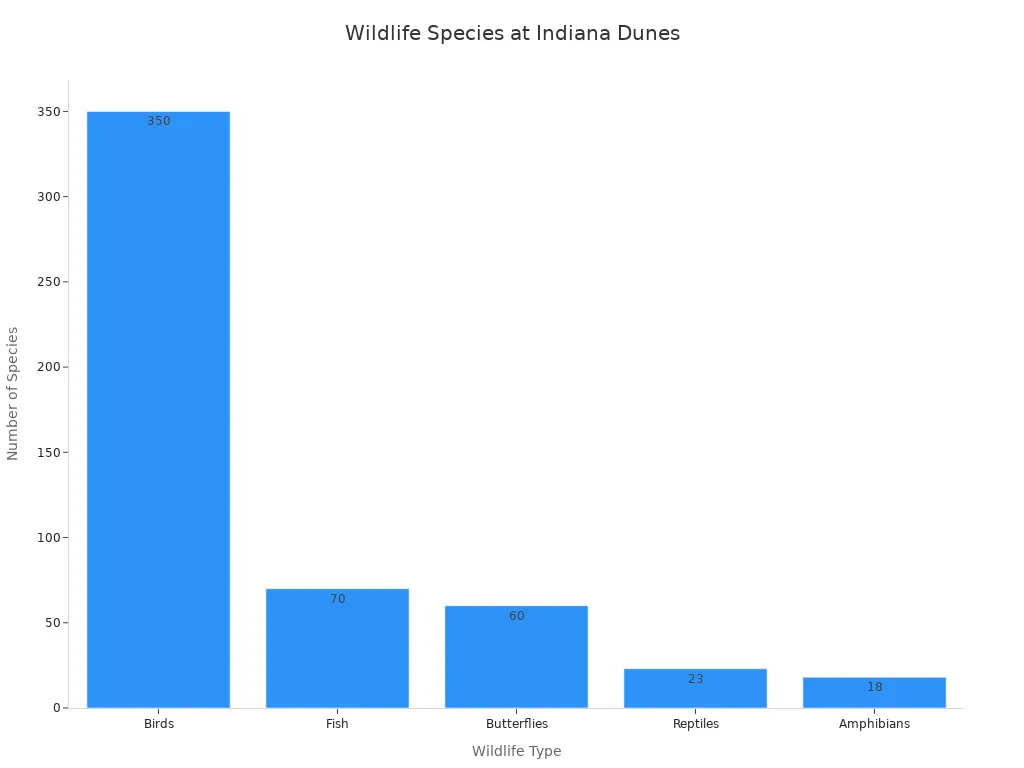 Bar chart showing species counts for birds, fish, butterflies, reptiles, and amphibians at Indiana Dunes National Park