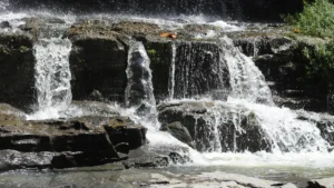 Best Things to Do in Lawrenceburg, TN