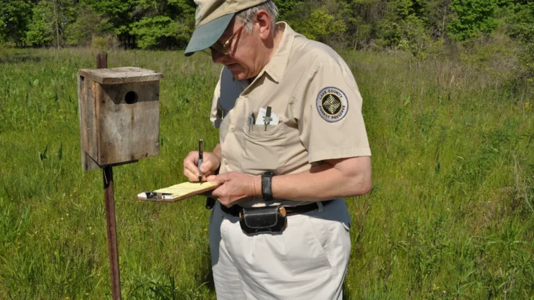 Best Things to Do in Sharon Springs, NY