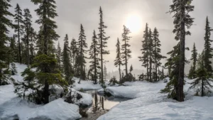 US Travel Destinations in February: Best Places for Winter Escapes