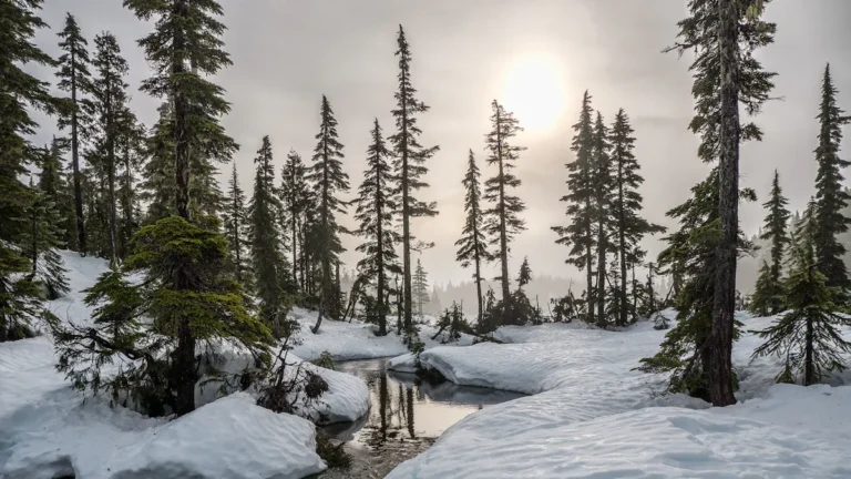 US Travel Destinations in February: Best Places for Winter Escapes