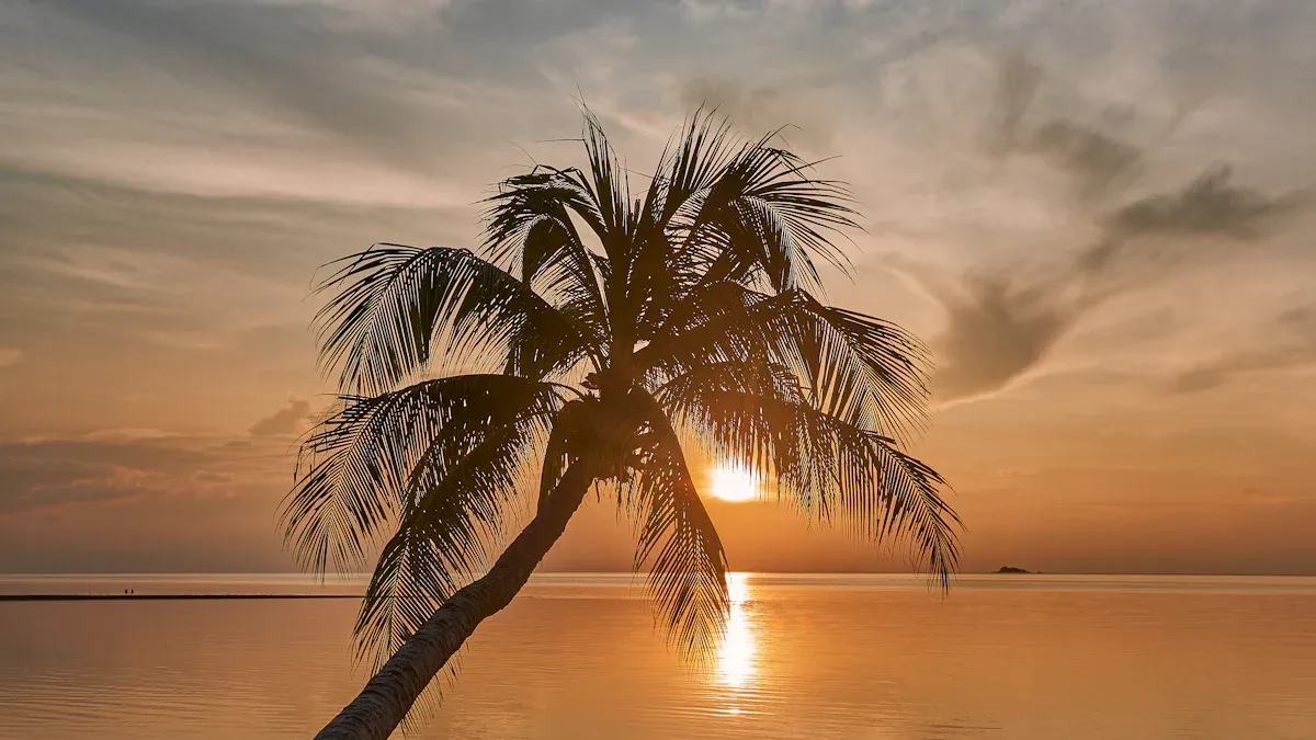 Best Places to Travel for Warm Weather