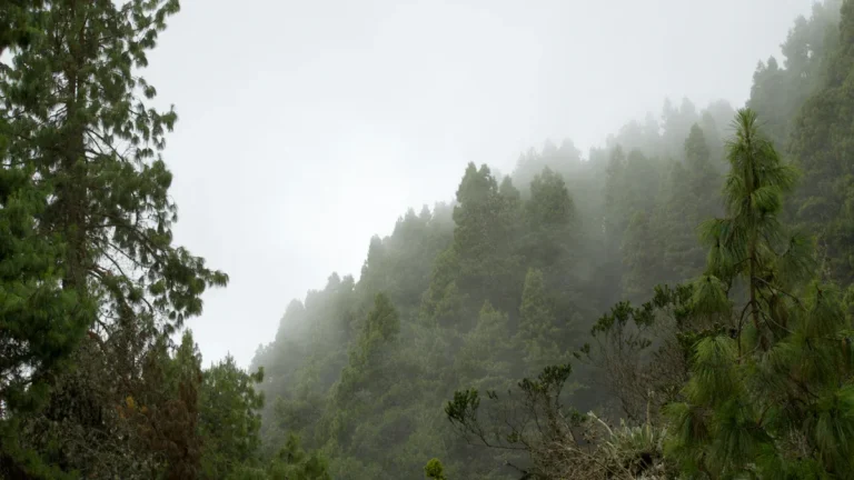 Worst Time to Visit Jamaica