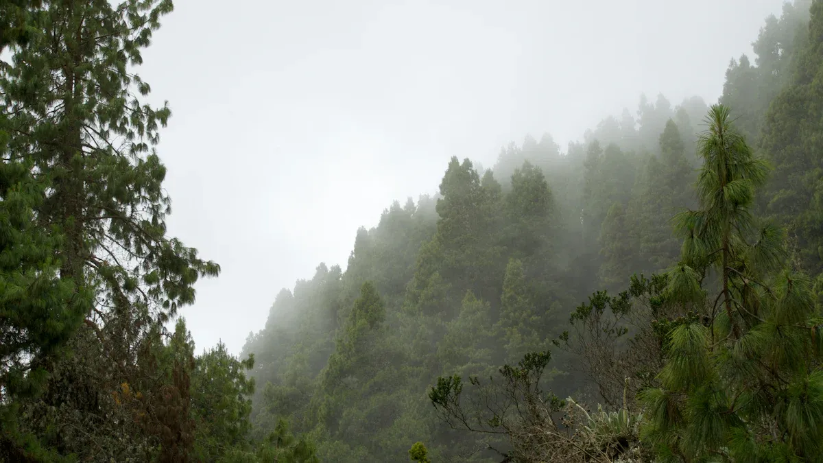 Worst Time to Visit Jamaica