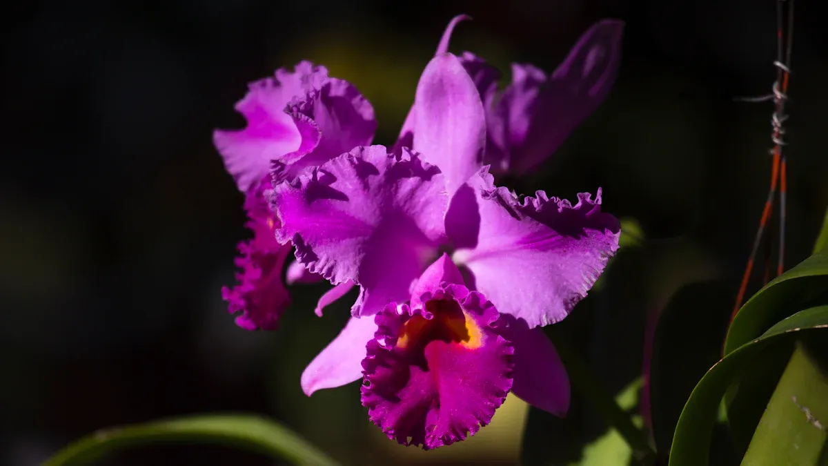 Best Family-Friendly Activities