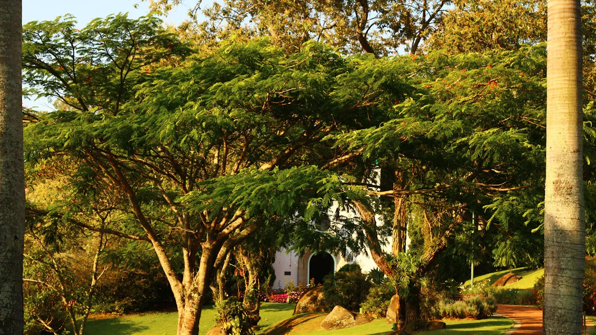 Top Attractions and Hidden Gems in Entebbe, Uganda