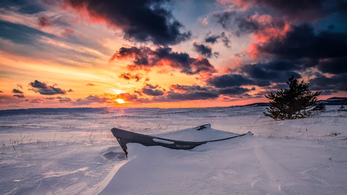 Cape Cod in the Winter: Cozy Getaways, Off-Season Activities, and Travel Tips