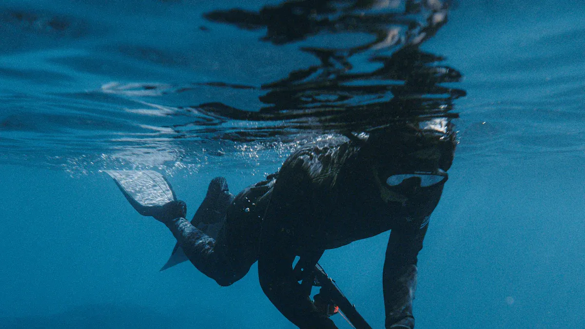 Best Shark Diving Spots