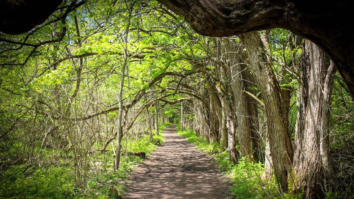 Things to Do: Cultural Highlights