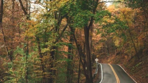 12 Things to Do in Jim Thorpe, PA