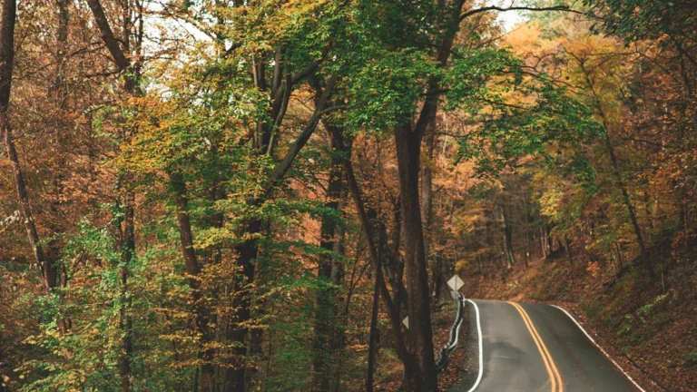 12 Things to Do in Jim Thorpe, PA