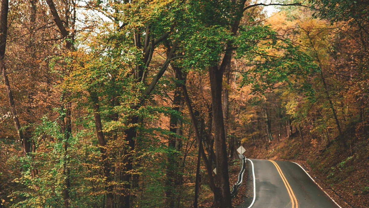 12 Things to Do in Jim Thorpe, PA