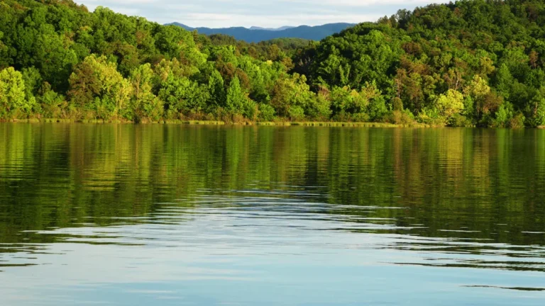 Best Lakes Near Chattanooga