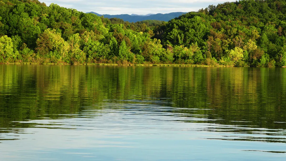 Best Lakes Near Chattanooga