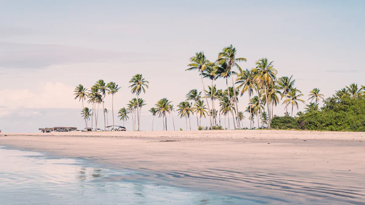 Must-See Coastal Activities