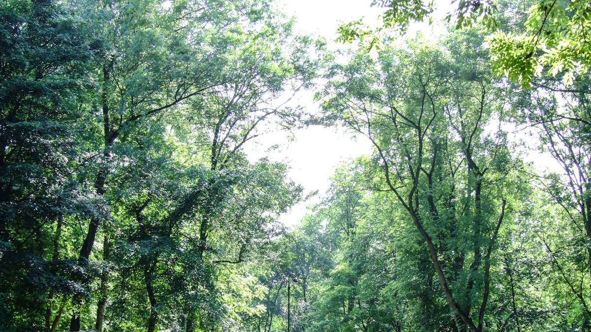 Outdoor Activities in Mansfield