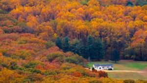 Apple Picking in Vermont: Best Orchards, Fall Activities, and Seasonal Fun