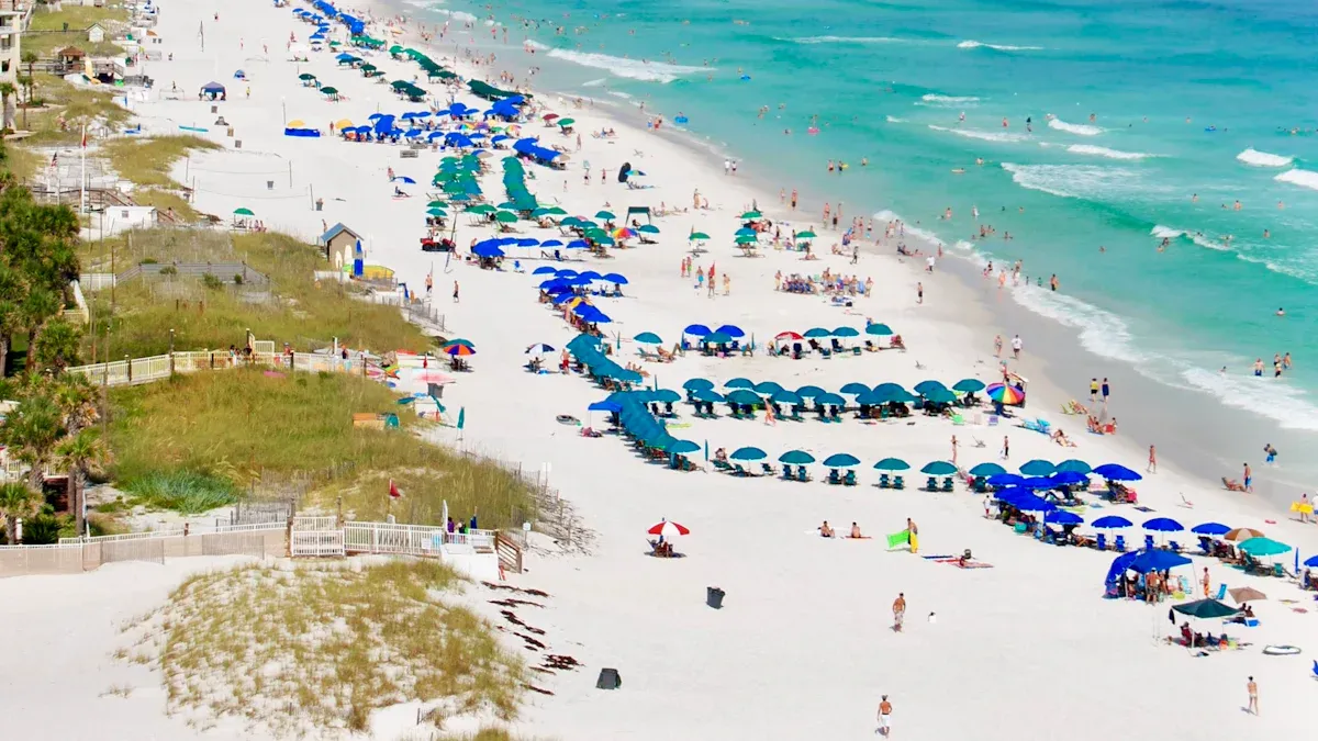 Top Beaches to Visit