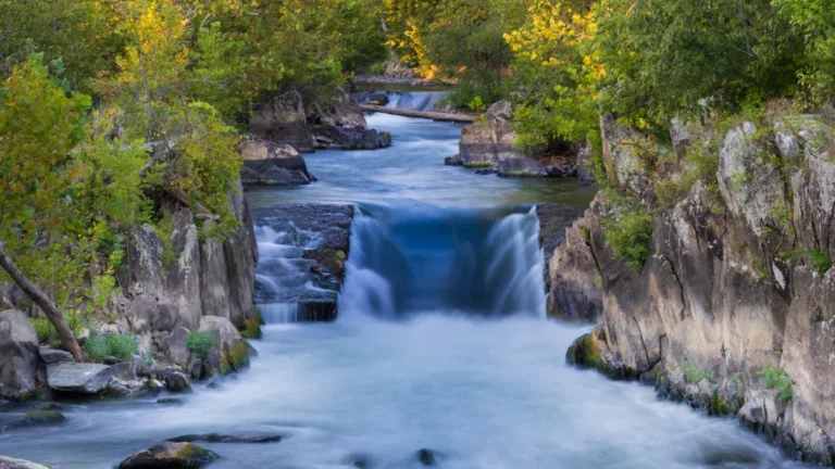 Best Things to Do in Potomac, MD