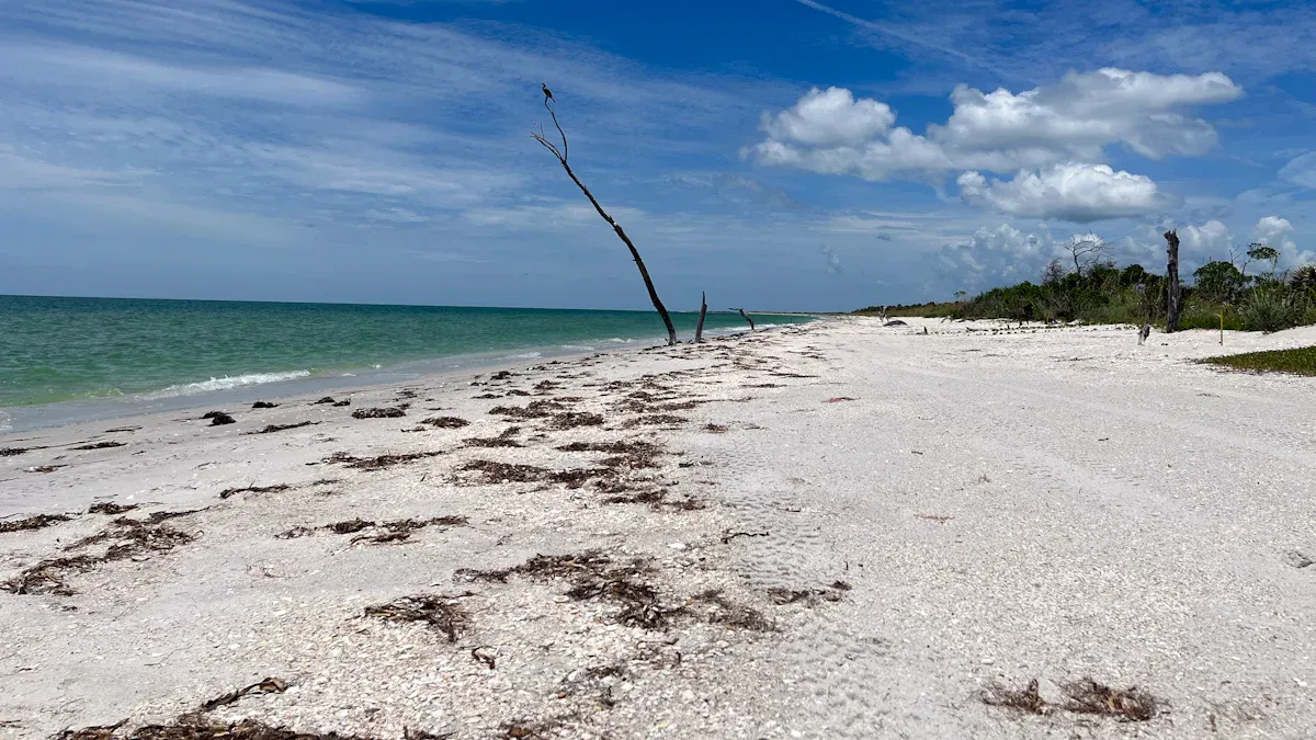 Top Things to Do in Bradenton: Riverwalk, Beaches & Florida'
style=