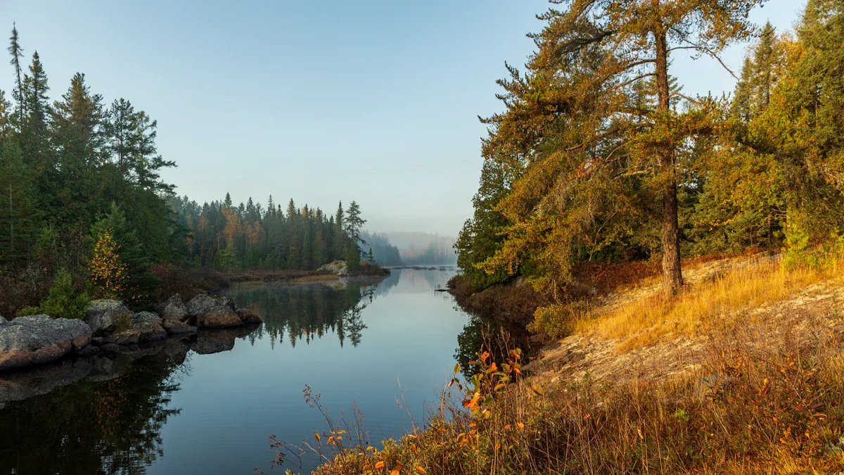 Agawa Canyon Tour Train