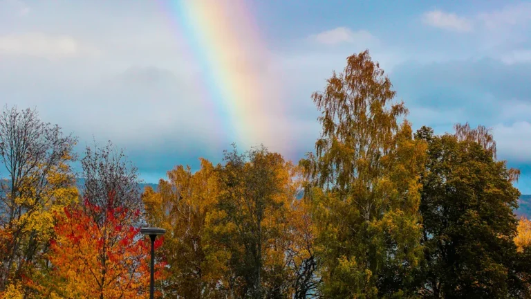 Best Things to Do in Utica, IL