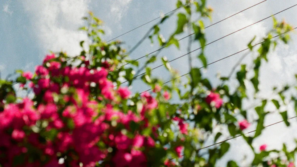 Bringing Flowers on a Plane