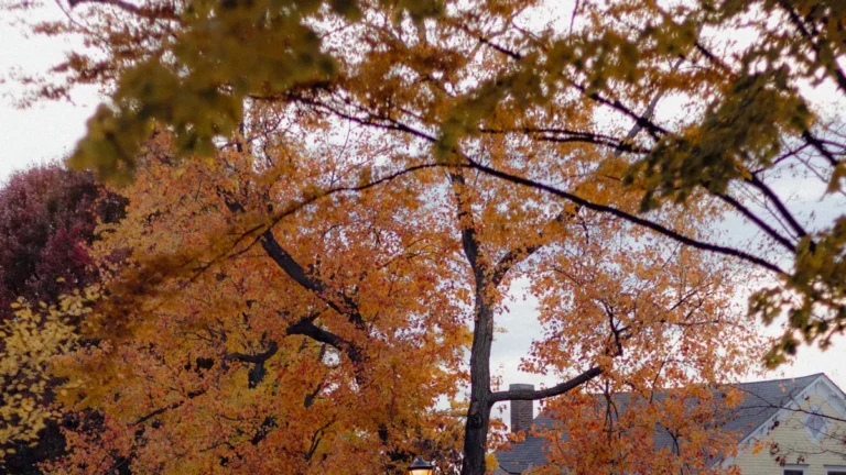 10 Must-Try Things to Do in Burlington, WA