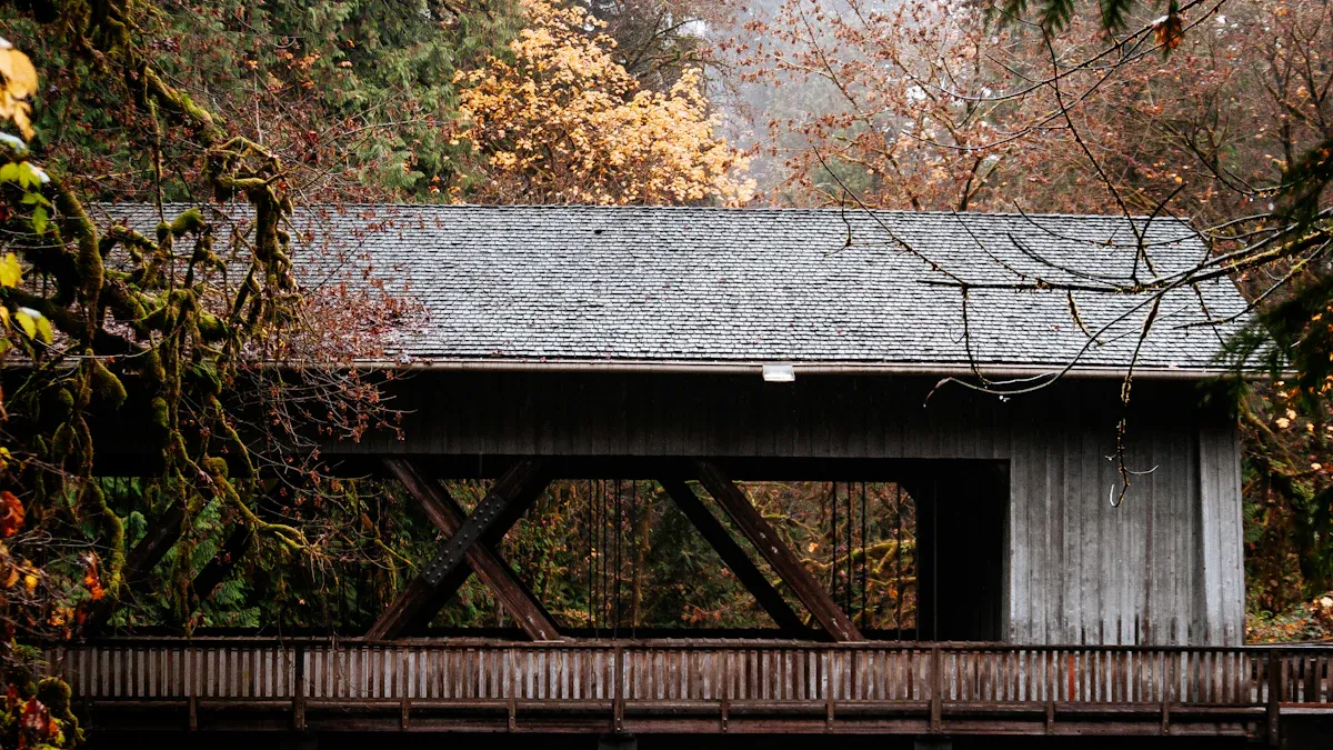 Northern Washington'
style=