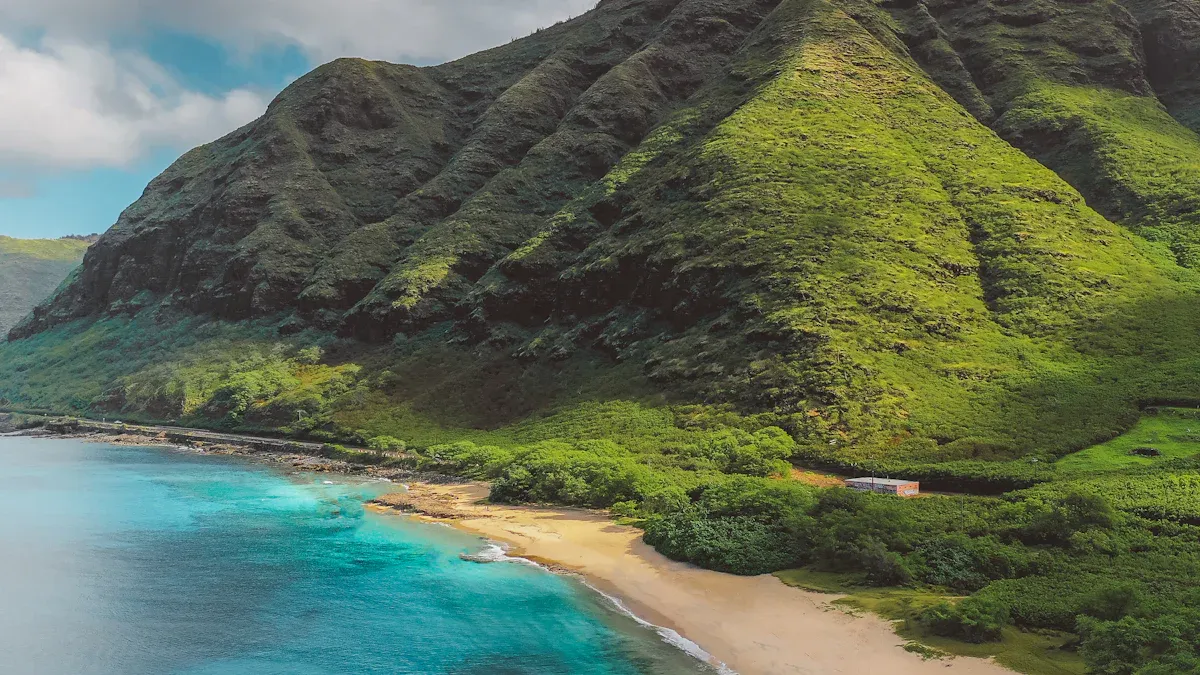 Hawaii'
style=