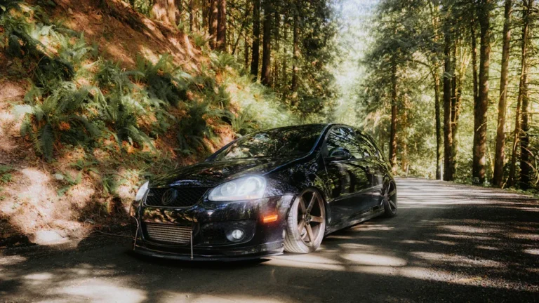 Things to Do in the Black Forest Germany: Scenic Drives, Hiking, and Charming Villages