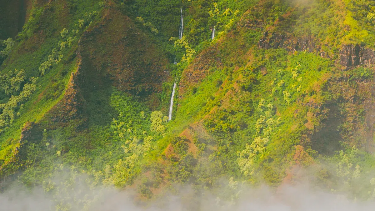 Understanding Kauai'
style=