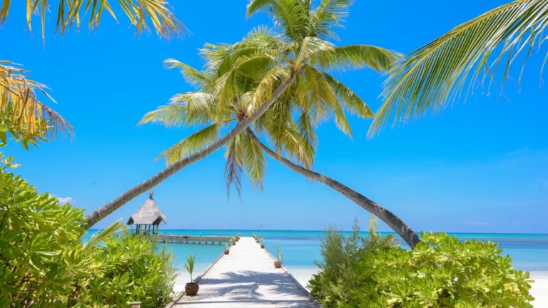 Caribbean in October: Best Destinations for a Fall Tropical Getaway