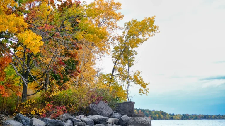 Fall US Babymoon Destinations: Top Spots for Expecting Couples