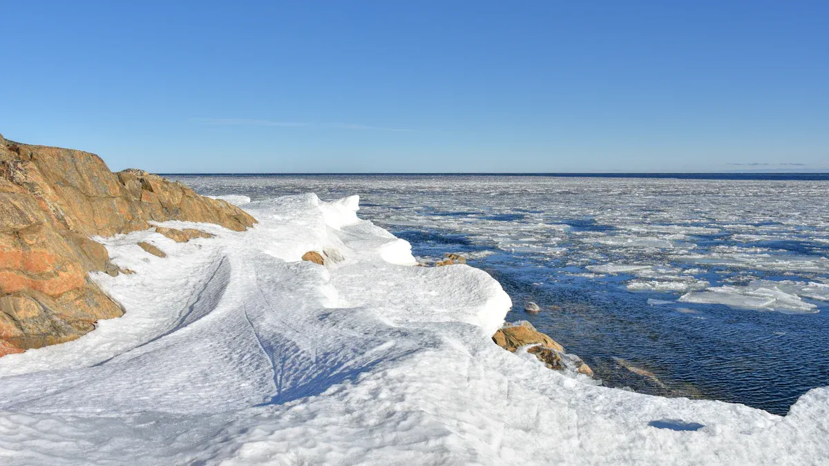 Winter Activities on Cape Cod