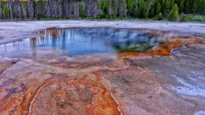 Best US National Parks in March