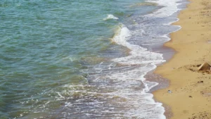 Puerto Vallarta vs Cabo
