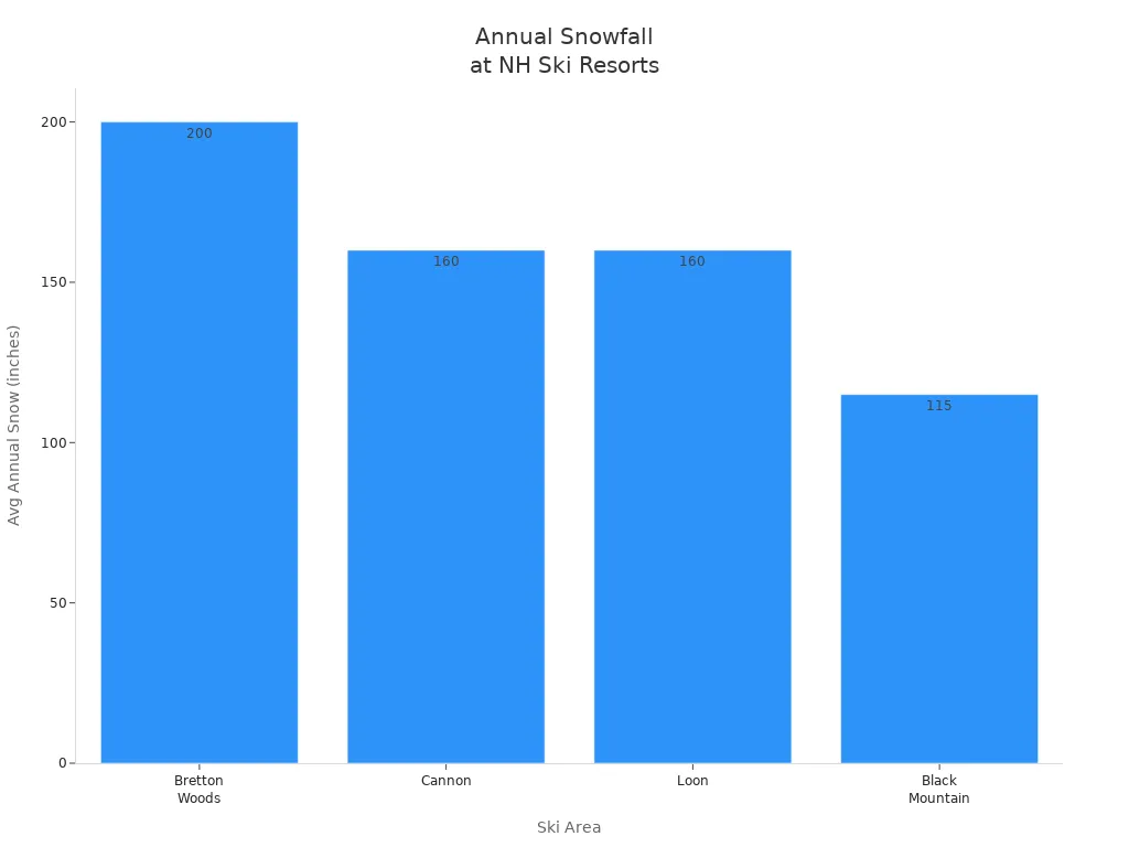 Bar chart showing average annual snowfall for four Southern New Hampshire ski resorts