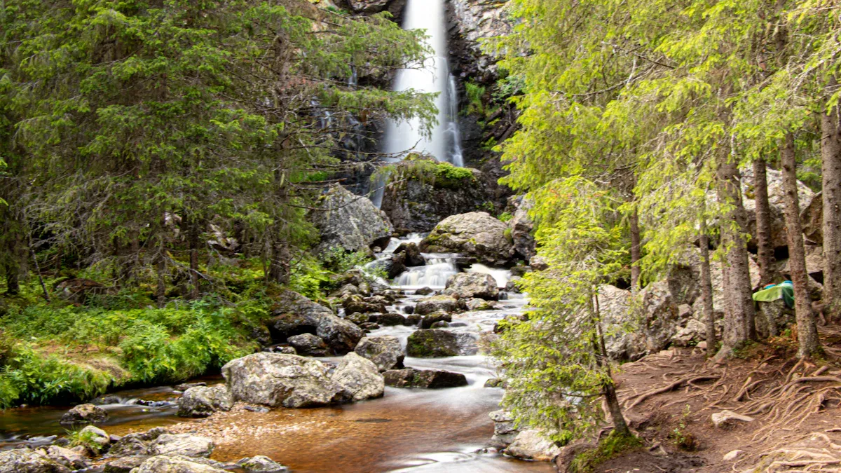 Bear Creek Falls