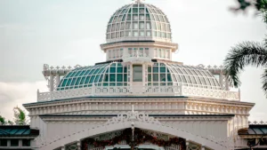 Top 20 Things to Do in Orlando Besides Theme Parks