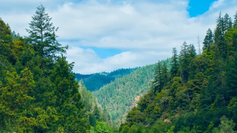 Best Mississippi River Cruises for Seniors