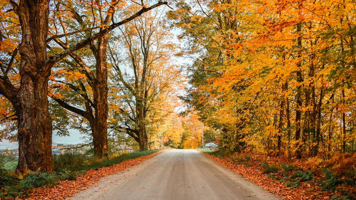 Other Fall Activities